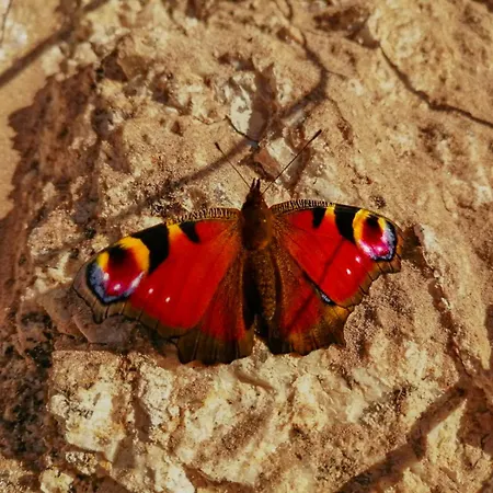 Refugio Da Moleira * Marco de Canavezes