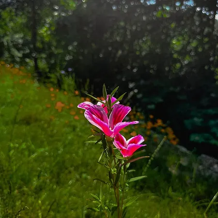 Refugio Da Moleira Casa de Férias Marco de Canavezes