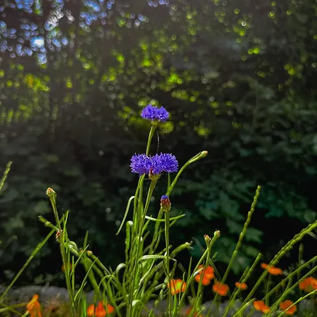 Holiday home Refugio Da Moleira