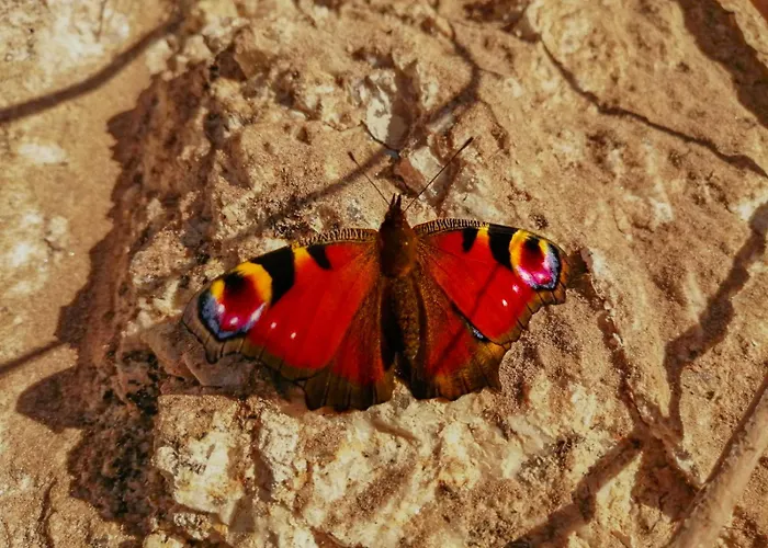 Refugio Da Moleira * Marco de Canavezes