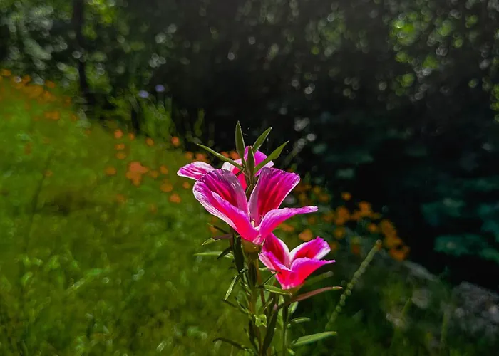 Refugio Da Moleira 別荘 Marco de Canavezes