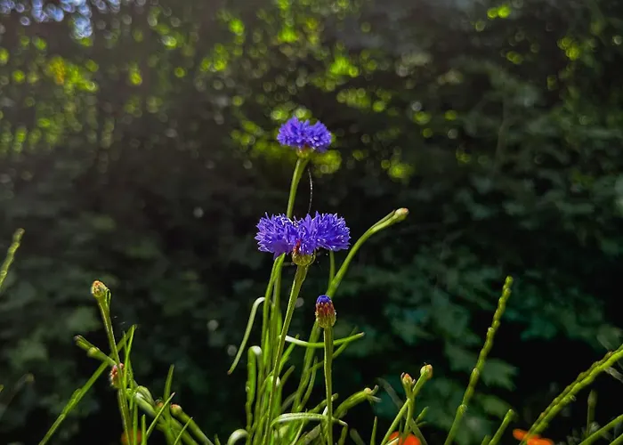 Сasa de vacaciones Refúgio Da Moleira