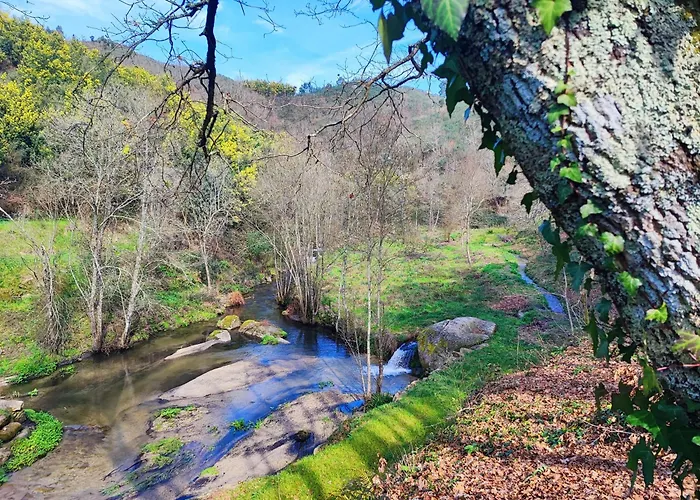 Сasa de vacaciones Refúgio Da Moleira Marco de Canavezes